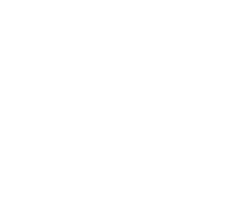 L'INSTITUTION